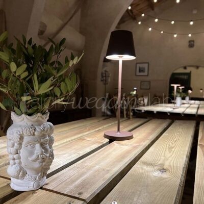 Wedding Battery Lights